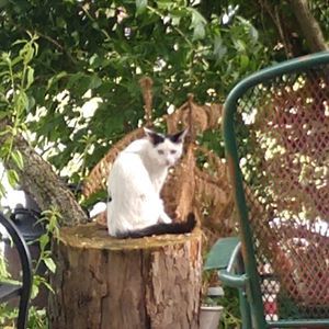 Meet your Posher, Cheryl